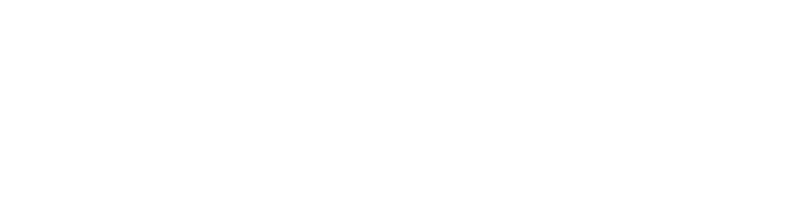 Dynaiz Technology